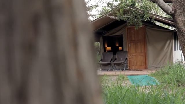 TEMBE ELEPHANT PARK & LODGE смотреть онлайн