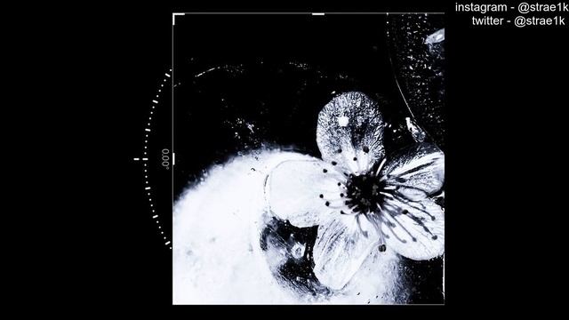 lunchbox + amir.pr0d + new jazz type beat - 'con_la_bris' (@strae1k + @prodbyanh + @andrzxz) смотреть онлайн