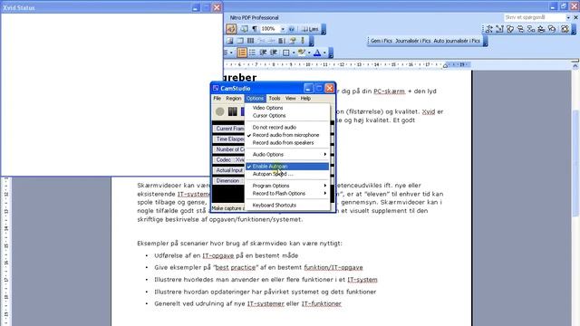 CamStudio opsætning - Xvid смотреть онлайн