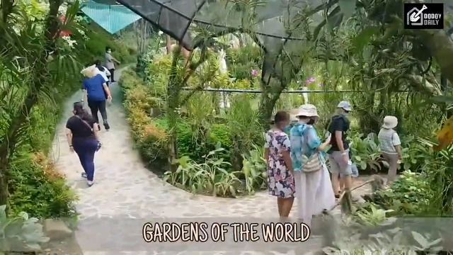 Cebu Safari Adventure | October 2021 смотреть онлайн