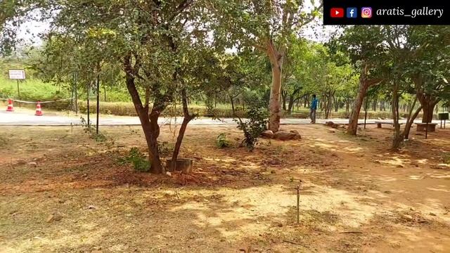 Tirupati Zoo Park | Sri Venkateswara Zoological Park | Lion Safari Full Information| Arati's Galler смотреть онлайн