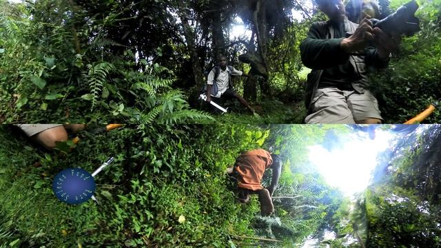 360 - Batwa Pgymies of Uganda | Myrtle Beach Safari смотреть онлайн