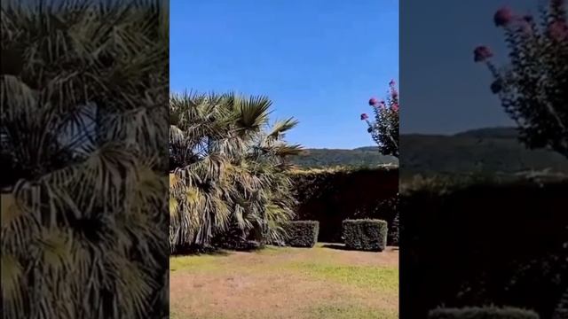 Постучись мою дверь смотреть онлайн