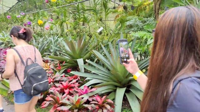 Cebu Safari Adventure, part 1. смотреть онлайн