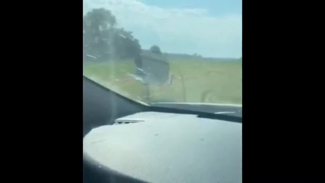 Going to the Safari(Date!?) 👀 смотреть онлайн