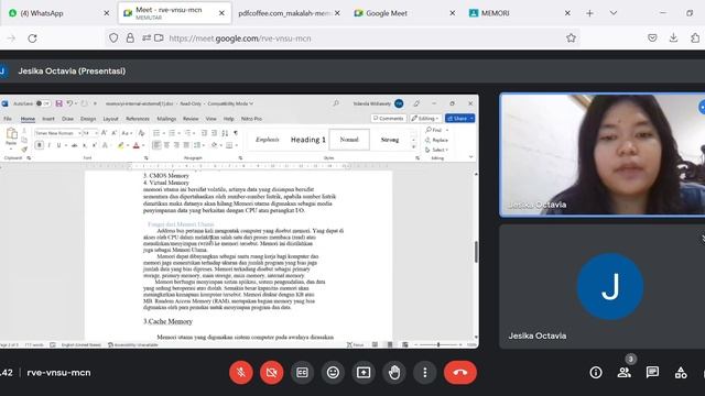 Meet rve vnsu mcn — Mozilla Firefox 2023 07 12 18 37 14 смотреть онлайн
