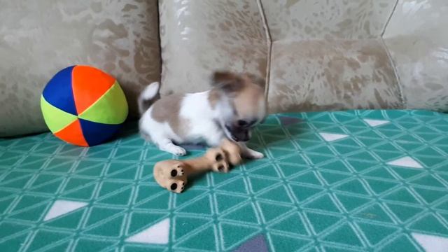 20180819 172651 смотреть онлайн