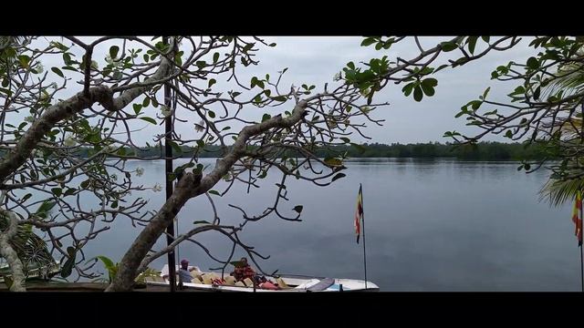 Madu River Boat Safari Sri Lanka 2020 смотреть онлайн