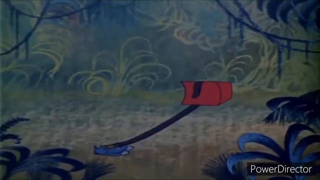 Sorry Safari Reversed