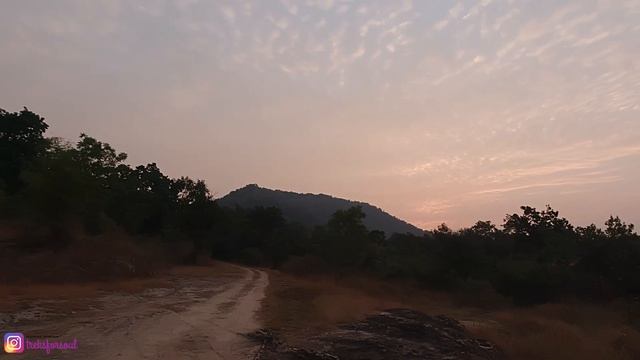 The tiger was walking in front of our Safari | Bandhavgarh Tiger Reserve | Episode 2 - In the Jungl смотреть онлайн