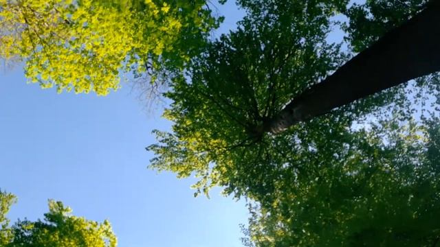 Peter Gabriel Sky Blue cover Pianomusik Hubertus Gärtner смотреть онлайн