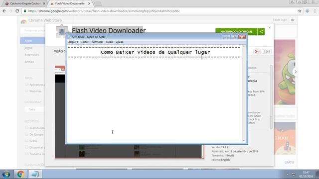 Extensão Flash Video Downloader смотреть онлайн