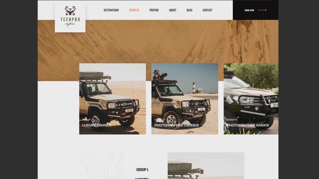 TechPro Safari Web Design - Full User Journey смотреть онлайн