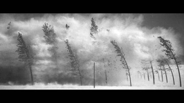 Mad Max: Silent Fury (Black & Chrome) | Overture смотреть онлайн