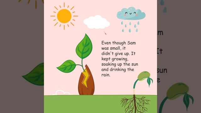 The Brave Little Seed Story 🌰 смотреть онлайн