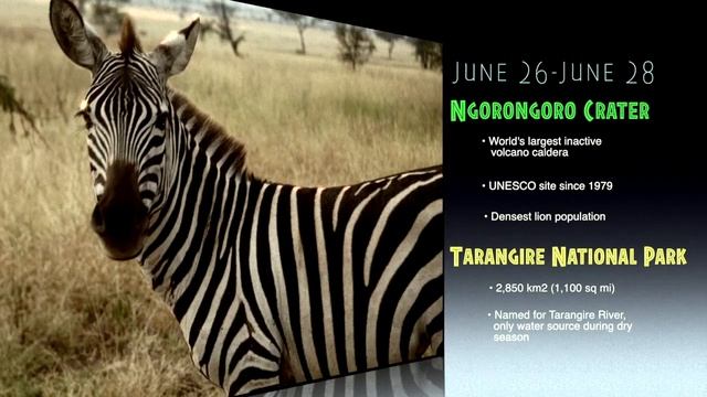 Voice Over Sessions (Safari Ya Tanzania) смотреть онлайн