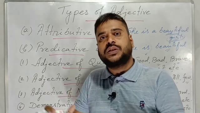 Types of Adjective || Adjective कितने प्रकार हैं || Full Guide in Hindi смотреть онлайн