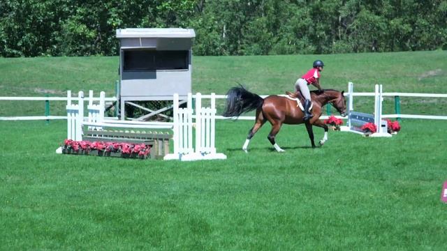 Grenache Grass Ring-SOLD смотреть онлайн