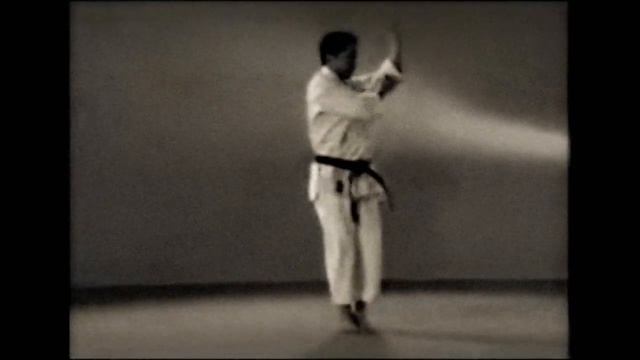 13 Каратэ. Наследие Накаямы. Ката Дзион