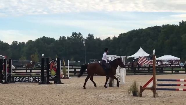 Brave horse .70m add back II.2.b смотреть онлайн