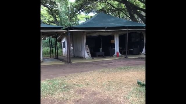 Sanctuary Ngorongoro Camp смотреть онлайн