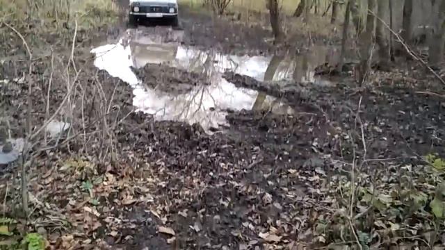 Две нивы. Сафари 510 и кордианты