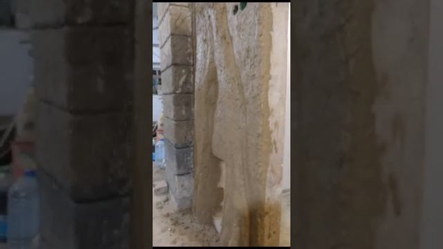 дерево начало смотреть онлайн