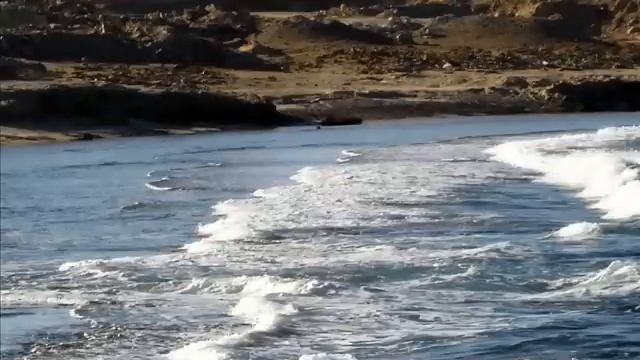 PLAŻA HOTELU DREAM BEACH W MARSA ALAM.wmv смотреть онлайн