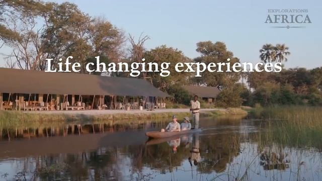 Book your Life changing safari with us! смотреть онлайн