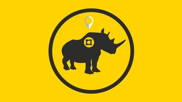 New MTN project to combat rhino poaching смотреть онлайн