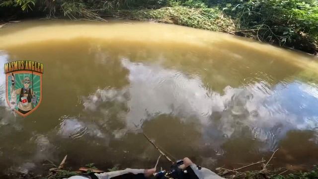 GILA… ‼️ SAMBERAN HAMPALA DIDEPAN KAKI BIKIN KAGET 😱😱😱 #castinghampala #hampala #palung #viral смотреть онлайн