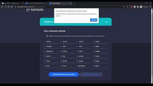 Creating a Fantom Wallet #fWallet #ftm #fantom смотреть онлайн
