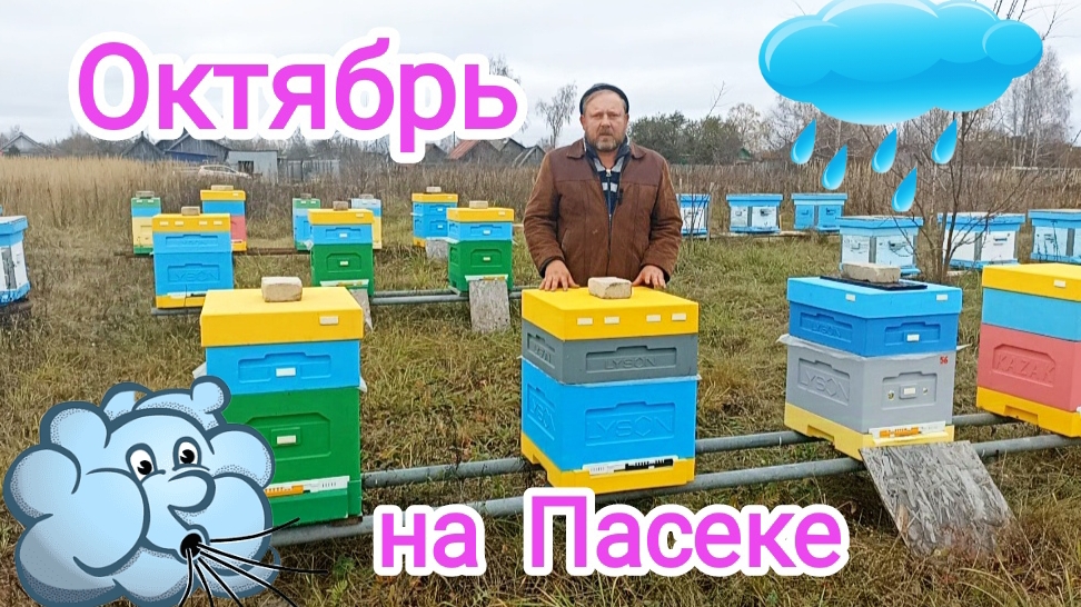 Заключительные работы с пчёлами, перед зимовкой! Пчеловодство! смотреть онлайн