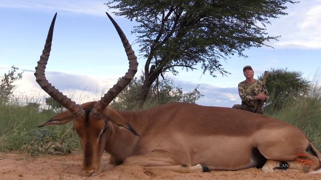 Hunt Plaingame in South Africa with Mabula Pro Safaris and African Sun Productions. Kalahari. смотреть онлайн