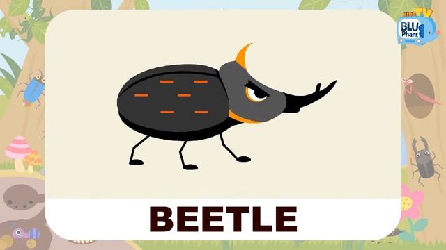 ⭐️Kids Vocabulary⭐️ Insects/Bugs for Kids and Toddlers | Kids Flashcards | Learning English for Kid смотреть онлайн