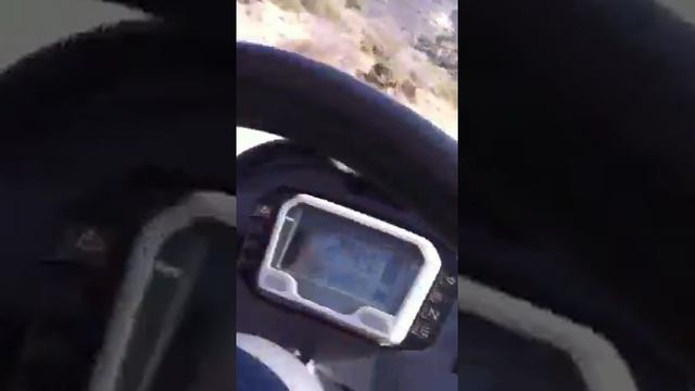 Palmer buggy safari смотреть онлайн