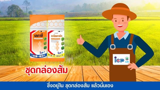 ชุดกล่องส้ม смотреть онлайн