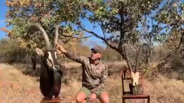 Tsala Safaris Intro to Sable Hunting (1) смотреть онлайн
