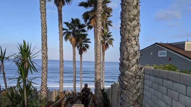 Salt Water Divas - Surf Safari Encinitas 2020 смотреть онлайн