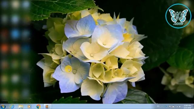 Automatic Update Windows-7 Turn Off. Some Settings managed by system Administrator. gpedit/regedit смотреть онлайн