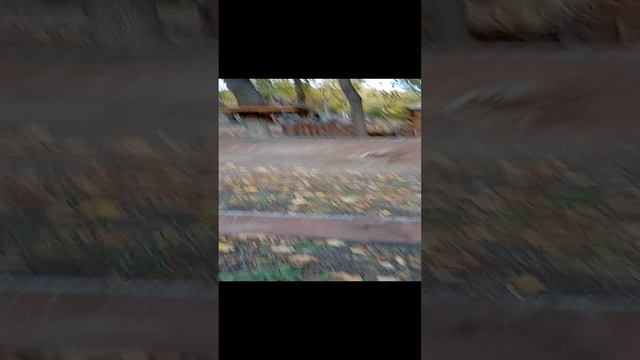 парк.mp4 смотреть онлайн