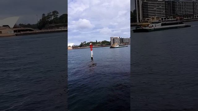 Sydney Opera House|| One Bucket list to Kick смотреть онлайн