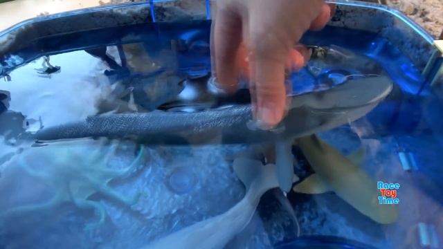 Fun Sea Animals Toys For Kids in the Playmobil Aquarium Playset - Let's Learn Wild Animal Names смотреть онлайн