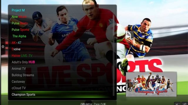 Pulse CCM Part 2 RG смотреть онлайн