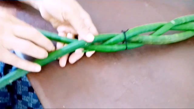 African spear or snake plant braiding technique... spiral plant art смотреть онлайн