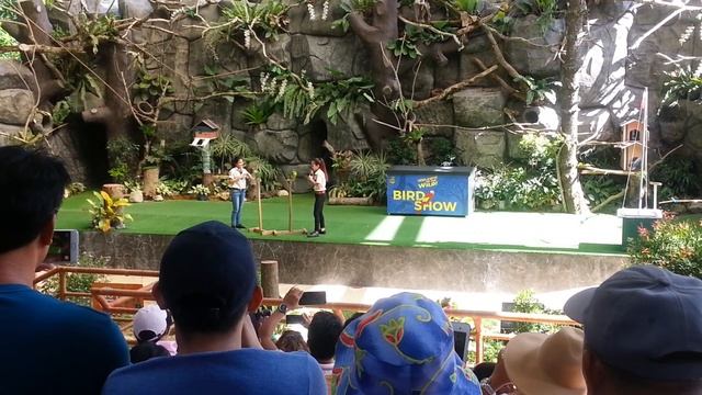 Birds Show at Cebu Safari Adventure Park смотреть онлайн