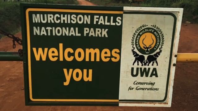 HOLIDAY|TOUR|SAFARI|VACATION PACKAGES IN UGANDA (EAST AFRICA) смотреть онлайн