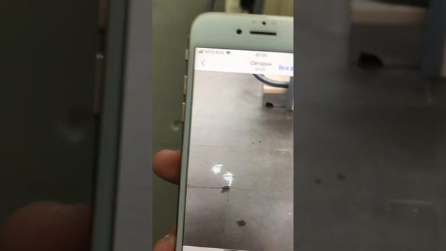 Apple IPhone 8 256 смотреть онлайн