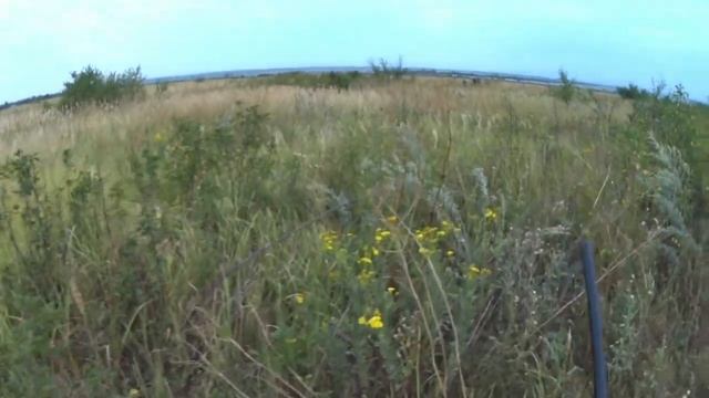 Открытие охоты на перепела смотреть онлайн