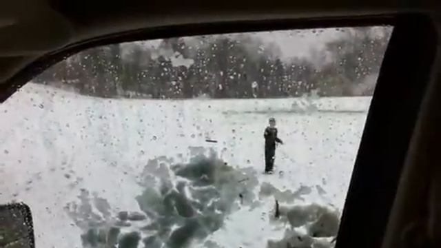 Winter Safari смотреть онлайн